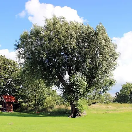 Haus Rungholt * Emmelsbull-Horsbull